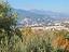Immagine 22