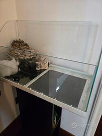 acquario per tartarughe 