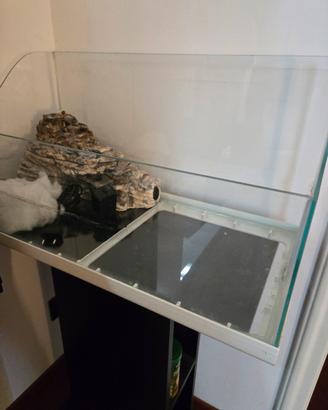 acquario per tartarughe 