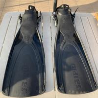 PINNE SUB PROFESSIONALI