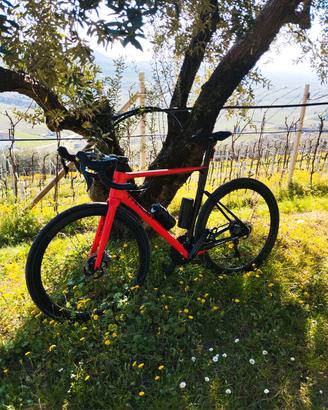 Bici da corsa in carbonio freni a disco