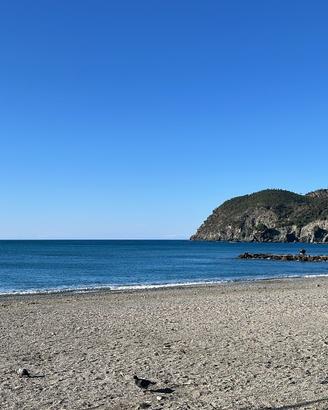 Mare a Levanto da Giugno a Settembre