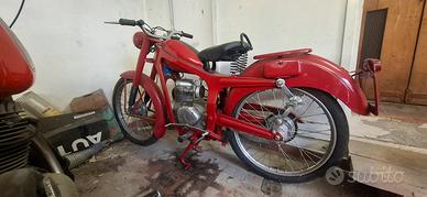 Moto Guzzi