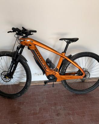 E bike