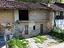 Immagine 7
