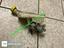 Immagine 10