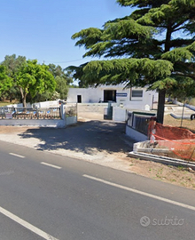 Locale commerciale con terreno