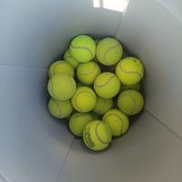 24 palline da tennis