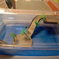 vaschetta Tartarughe 