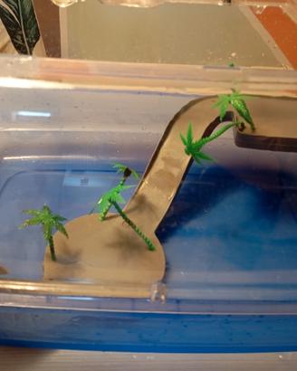 vaschetta Tartarughe 