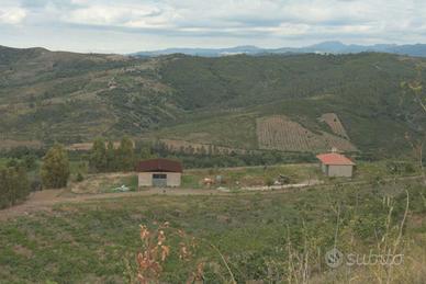 Azienda agricola nel Cuore del Cilento