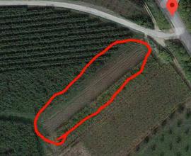 Terreno agricolo di 750m²