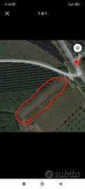 Terreno agricolo di 750m²