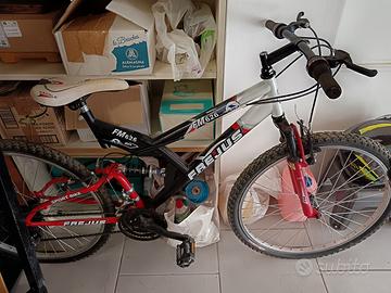 Mountain bike