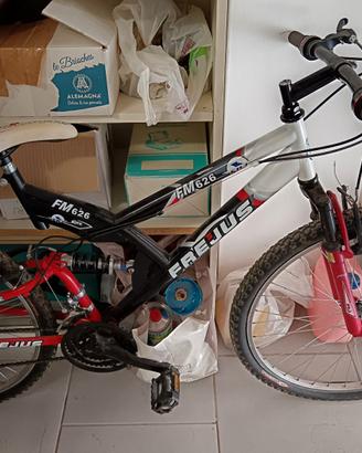 Mountain bike