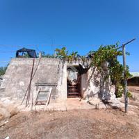 TER. AGRICOLO A POLIGNANO A MARE