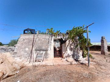 TER. AGRICOLO A POLIGNANO A MARE