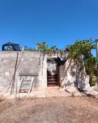 TER. AGRICOLO A POLIGNANO A MARE