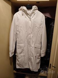 mongomeri INDIAN ROSE