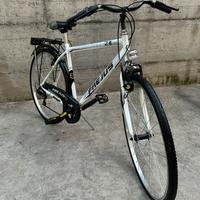 Bicicletta city bike uomo