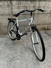 Bicicletta city bike uomo