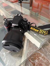 D750 + battery grip + Sigma 24-105 f/4 DG HSM ART