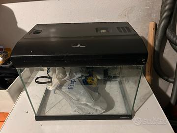 Acquario per pesci