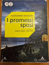 I promessi sposi