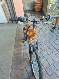 bicicletta