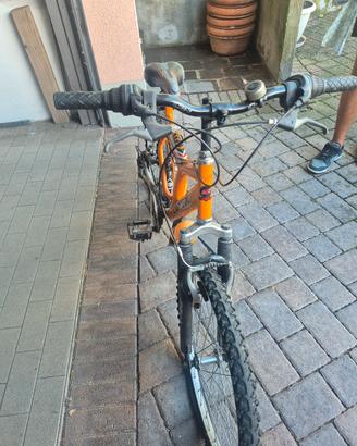 bicicletta