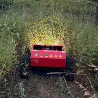 Rasaerba Telecomandato Cingolato