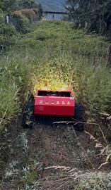 Rasaerba Telecomandato Cingolato