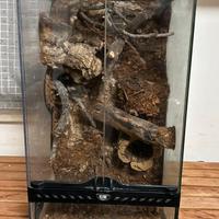 Teca / Terrario per rettili 30x30x62