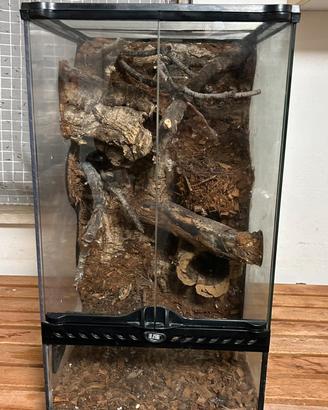 Teca / Terrario per rettili 30x30x62