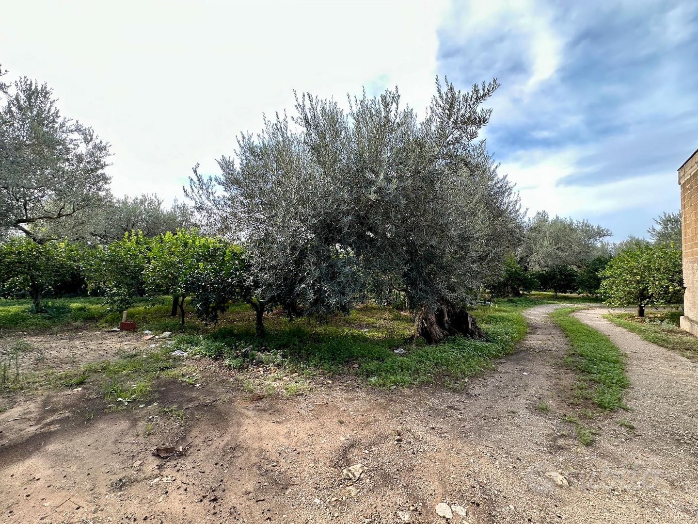 Terreno con magazzino a Partinico, Cda Principe - Altro