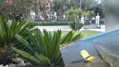 PARADISO FRONTE MARE dal 22 agosto