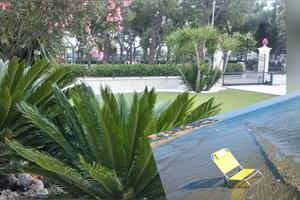 PARADISO FRONTE MARE dal 22 agosto