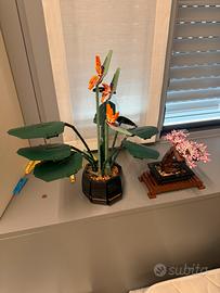 Lego Sterlizia + Bonsai