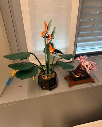 Lego Sterlizia + Bonsai