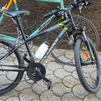 Bicicletta ragazzo 9 -12 anni