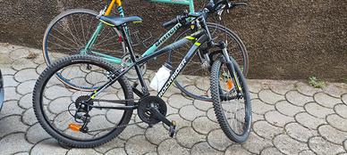 Bicicletta ragazzo 9 -12 anni
