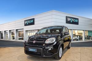 FIAT Panda Serie 7 1.0 70cv HybridPanda
