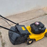 Taglia Erba a benzina 