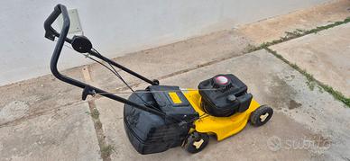 Taglia Erba a benzina 