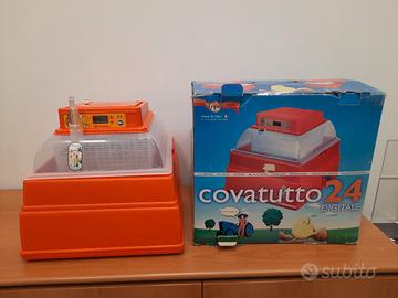 incubatrice novità 24 digitale