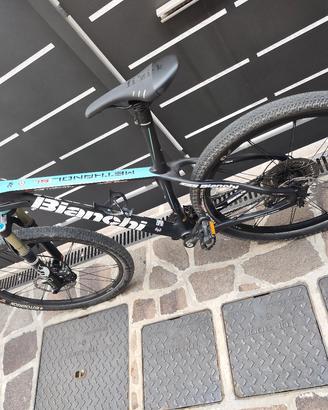 bianchi Methanol 27,5