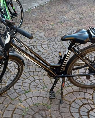 Bicicletta elettrica 