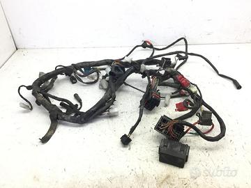 FANTIC MOTOR TL 4T 125 CAVI CABLAGGIO MATASSA IMPI