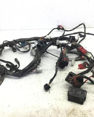 FANTIC MOTOR TL 4T 125 CAVI CABLAGGIO MATASSA IMPI