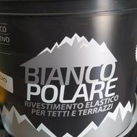 GUAINA PER TERRAZZI TETTI PAVIMENTI IN CEMENTO ECC